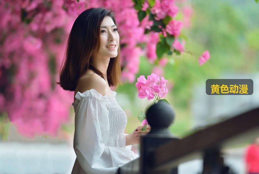 黄色动漫全景流媒体旗舰控制台